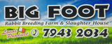 Big foot logo